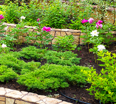 Raised Flower Beds